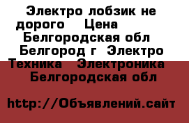 Электро-лобзик не дорого. › Цена ­ 1 500 - Белгородская обл., Белгород г. Электро-Техника » Электроника   . Белгородская обл.